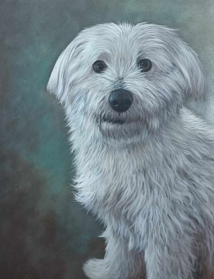Retrato de un perro